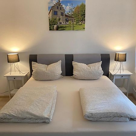 Ferienwohnung Stiegel Ingelheim am Rhein Exteriör bild